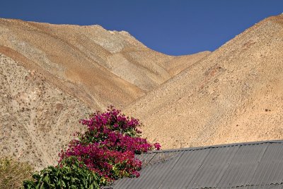 g3/90/140690/3/96508772.YTZruN7N.jpg