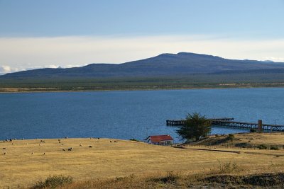 Near Puerto Natales