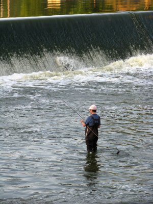 Fishing the Fox