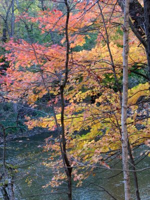 Fall on the Kishwaukee