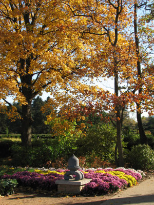 Sunny Fall Day