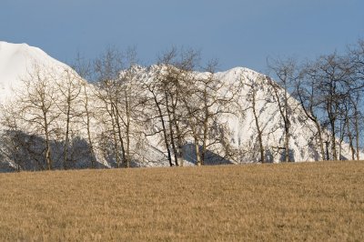 DSC_8809br.jpg