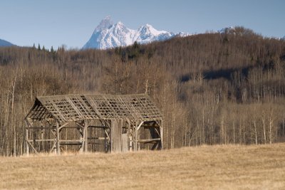 DSC_8816br.jpg