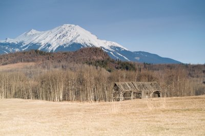 DSC_8829br.jpg