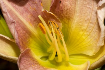 DSC_0058br.jpg