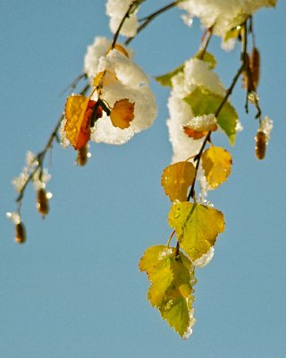 09060034br.jpg