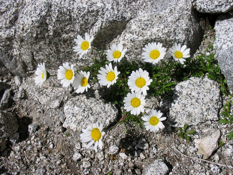 franmar0125.JPG