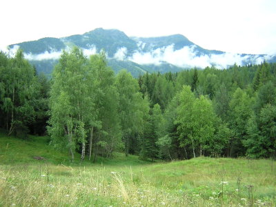 DSCN1296.JPG