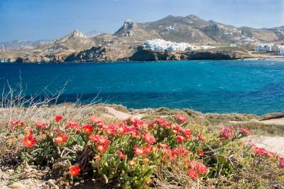 Naxos_1639_2_Web.jpg
