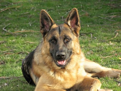 Merlin_G7_400Web1400_0085.jpg