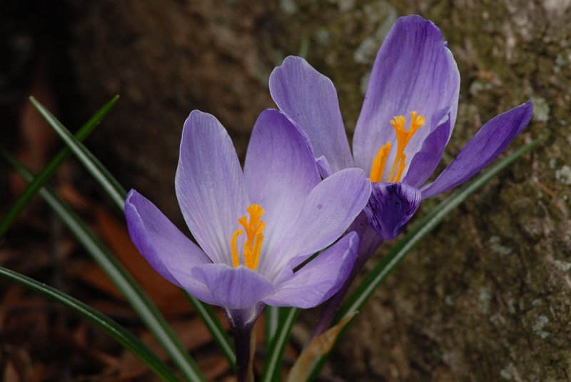 D25_5804.jpg