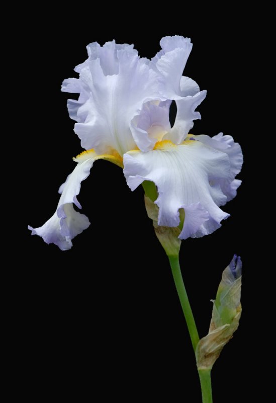 D25_8253 R.jpg