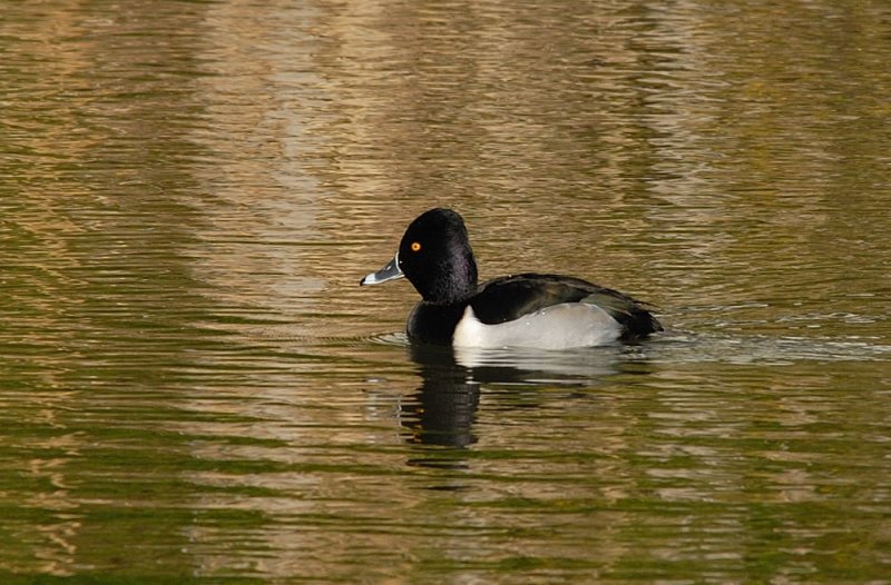 D26_9563.jpg