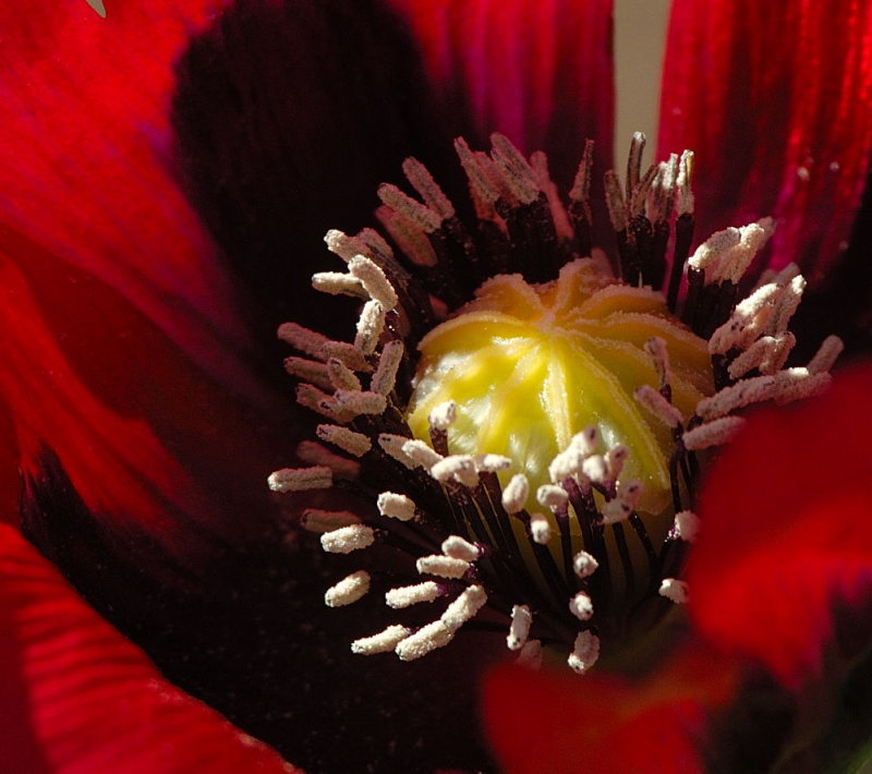 D27_7617.jpg
