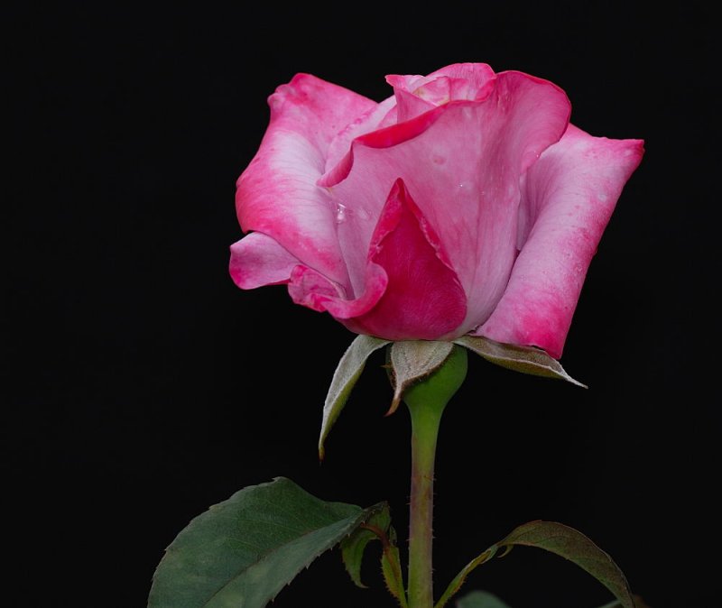 D27_7747.jpg