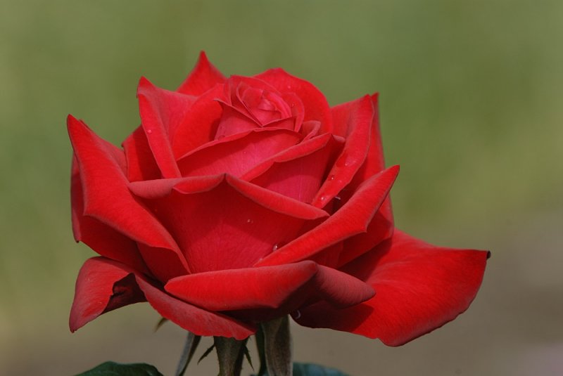 D27_6736.jpg