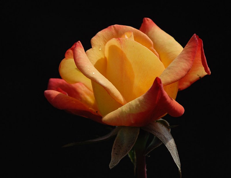 D27_6791.jpg
