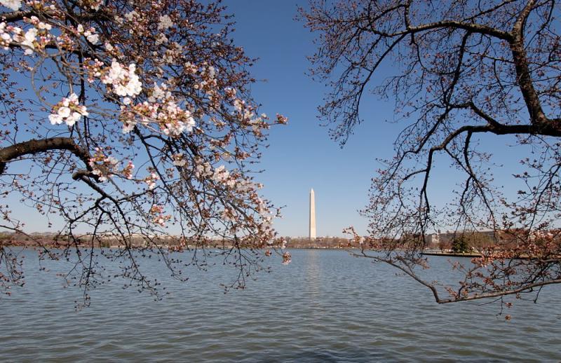 D20_1535 copy.jpg