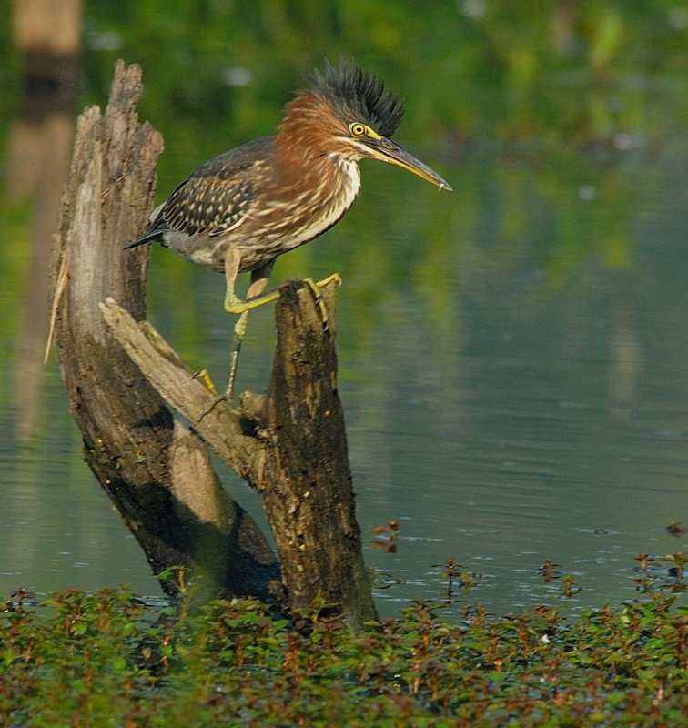 D20_2800 copy.jpg