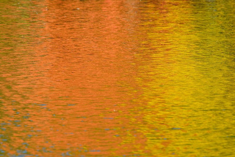 D22_6784.jpg