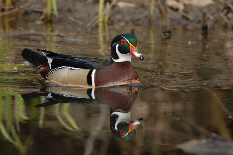 D23_2425.jpg