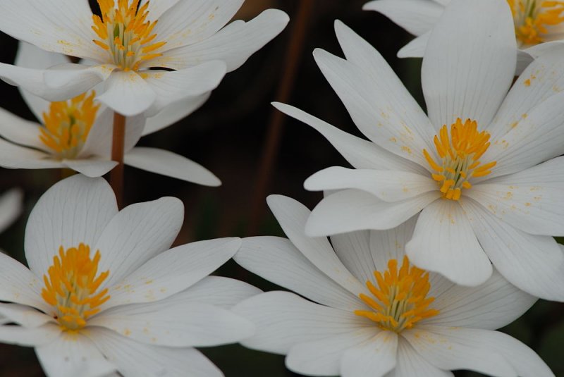 D23_3081.jpg