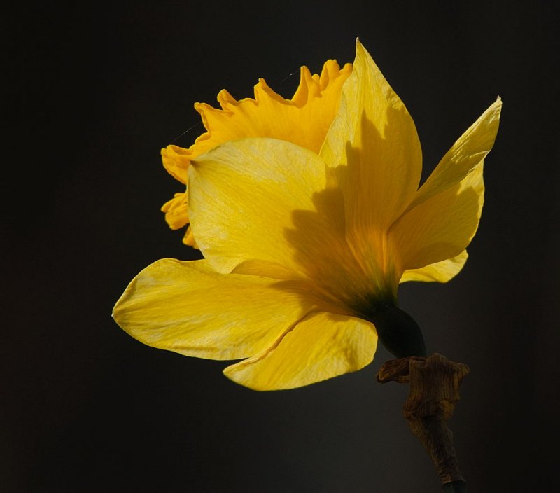 D23_3094.jpg