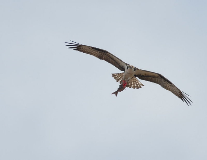 D23_3347.jpg
