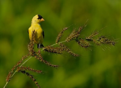 D24_6716.jpg