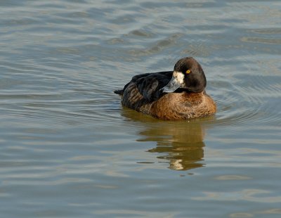 D25_2307.jpg