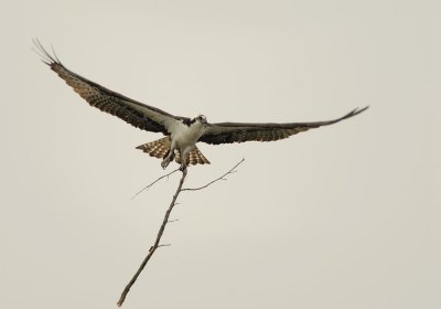 D25_5063.jpg