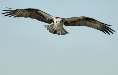D25_6664.jpg