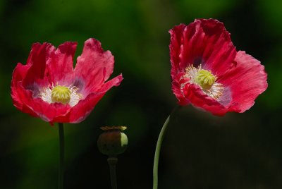 D25_9859.jpg