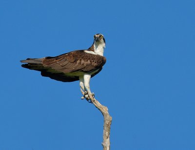 D26_0405.jpg