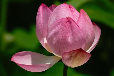 D26_0904.jpg