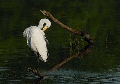 D26_1102.jpg