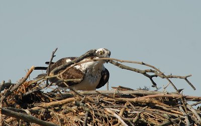 D27_2729.jpg