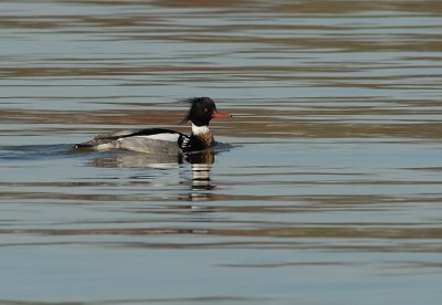 D27_2756.jpg