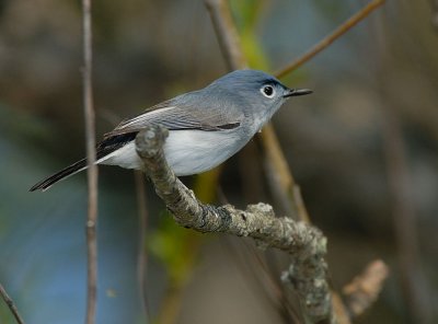 D27_3965.jpg