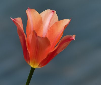 D27_4567.jpg