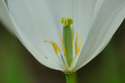 D27_4579.jpg