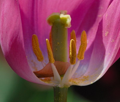 D27_4581_1.jpg
