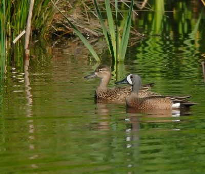 D27_4690_1.jpg