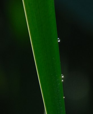 D27_7371.jpg