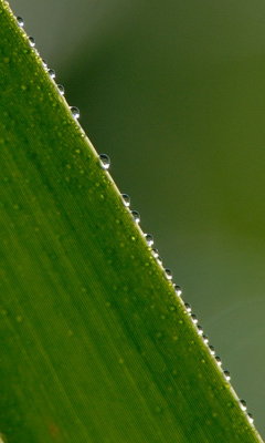 D27_7373.jpg