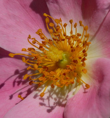 D27_7629.jpg