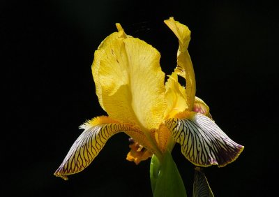 D27_7633.jpg