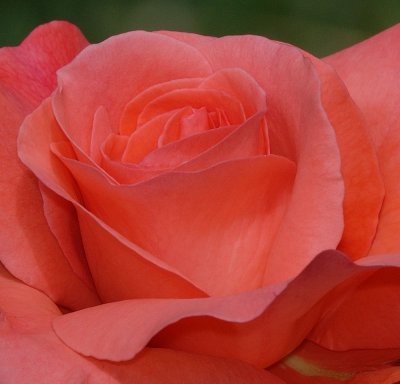 D27_7767.jpg