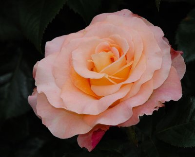 D27_7789.jpg