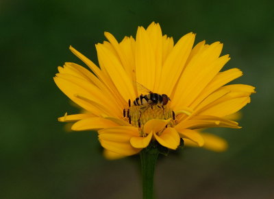 D27_7795.jpg